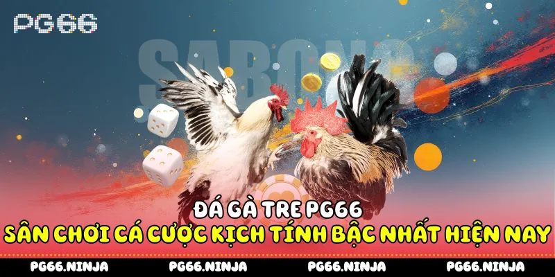 Đá Gà Tre Pg66 - Sân Chơi Cá Cược Kịch Tính Bậc Nhất Hiện Nay