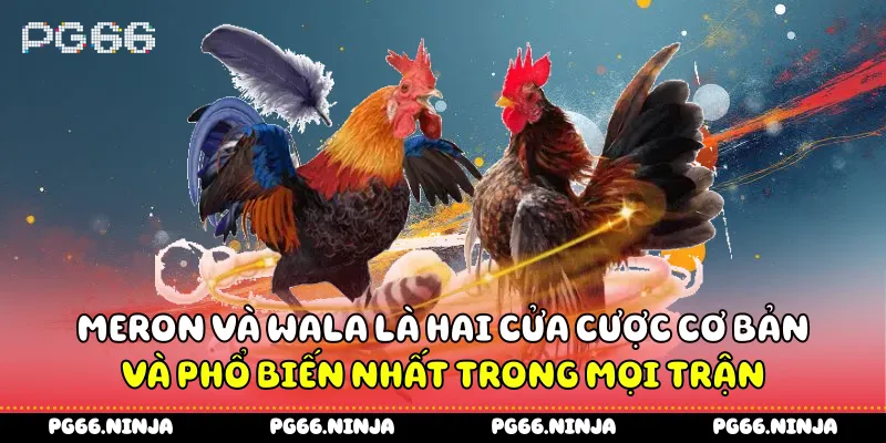 Meron và Wala là hai cửa cược cơ bản và phổ biến nhất trong mọi trận